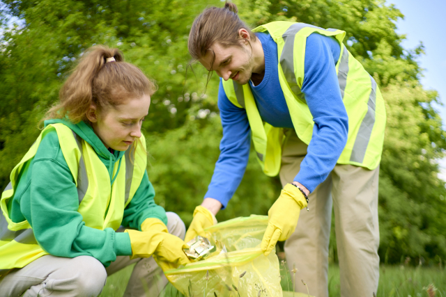 cleanup